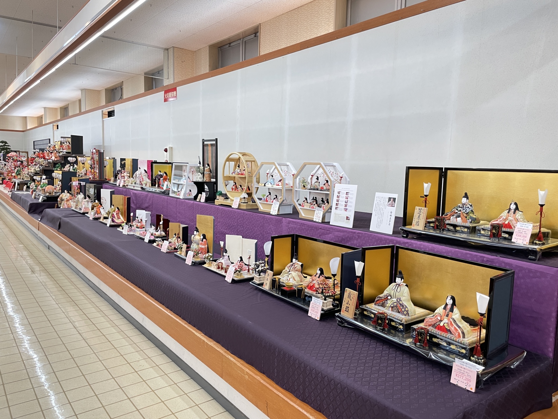 五月人形・武者幟・鯉のぼりの展示販売もしております | トピックス